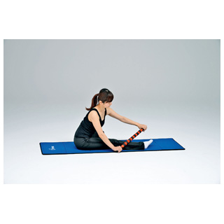 H-7253 マッサージスティックローラー | トーエイライト株式会社 TOEI